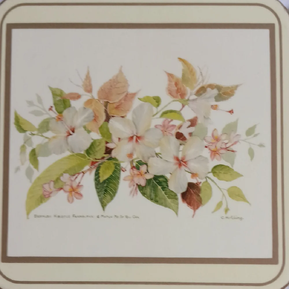 Vintage Pimpernel Bermuda White Hibiscus 6 coasters with box